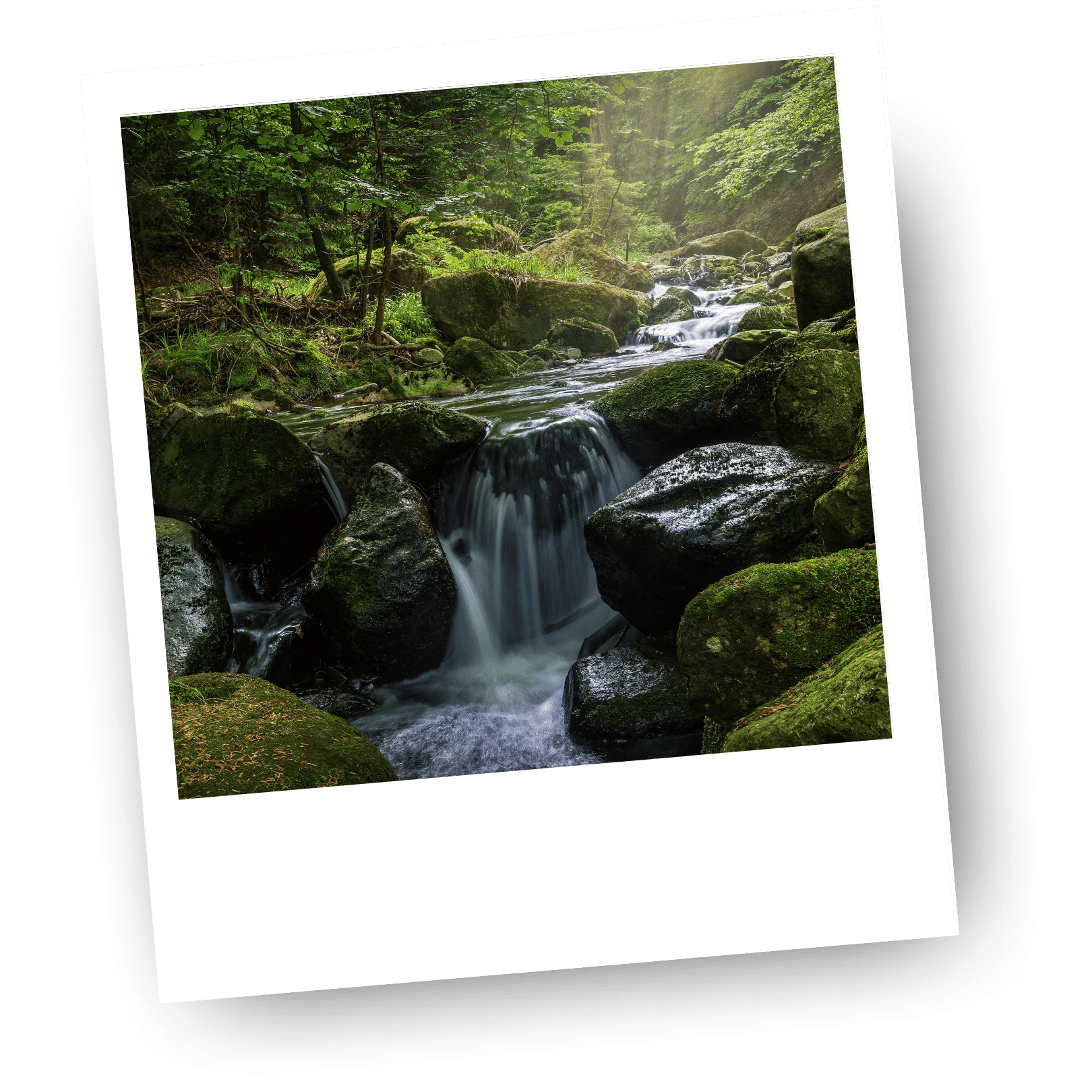 Welcome Bumdes Sicini